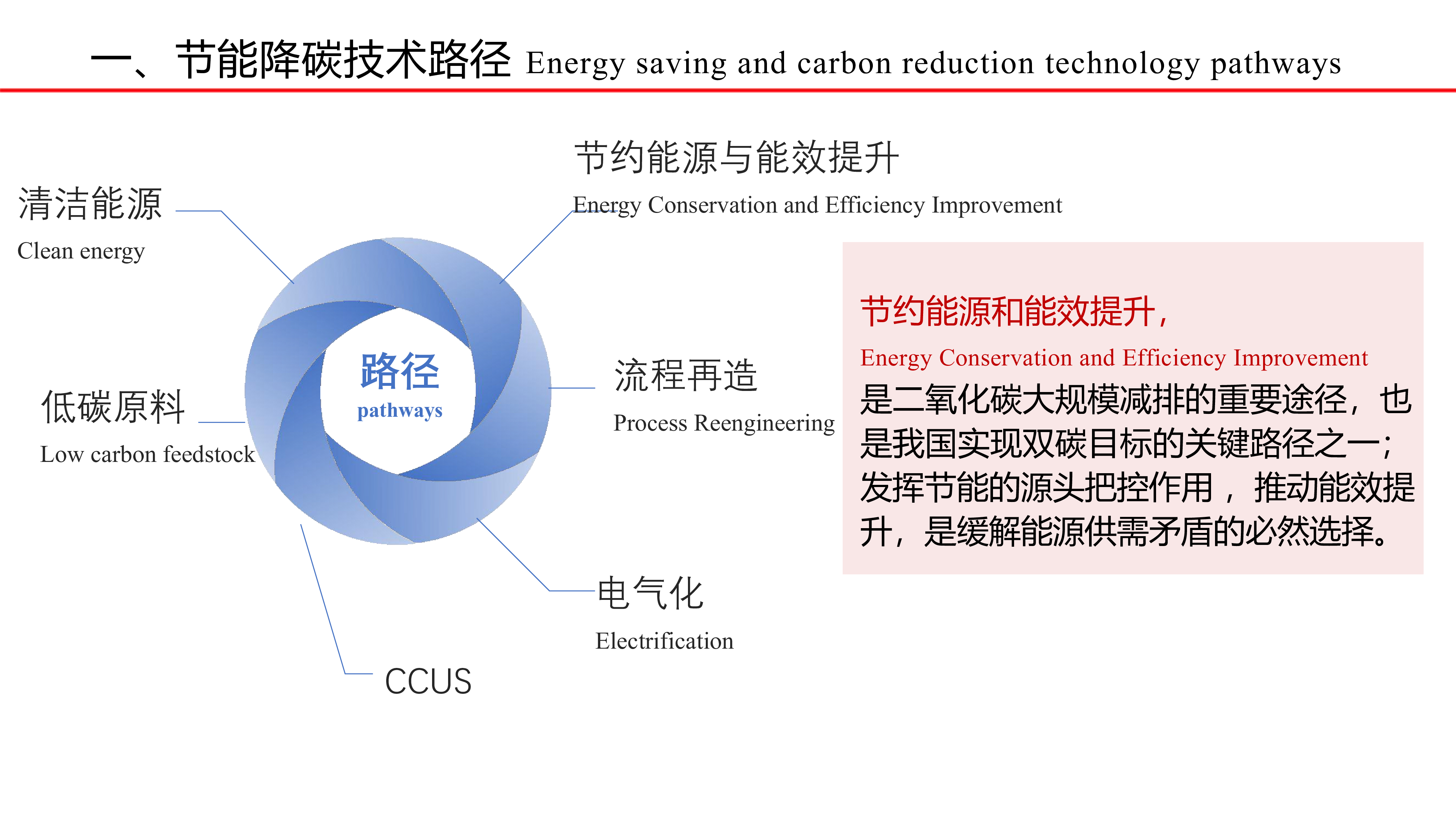 谢艳丽中文更新-石化行业节能降碳技术路径研讨